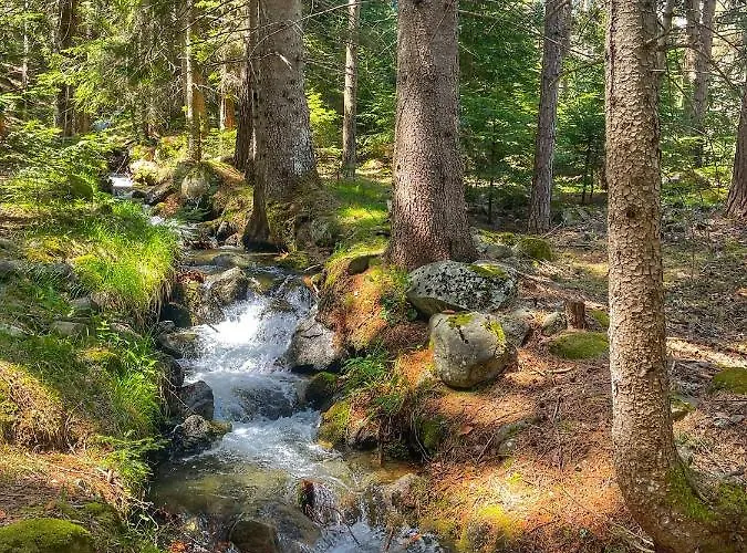 Park Panorama Ξενοδοχείο
