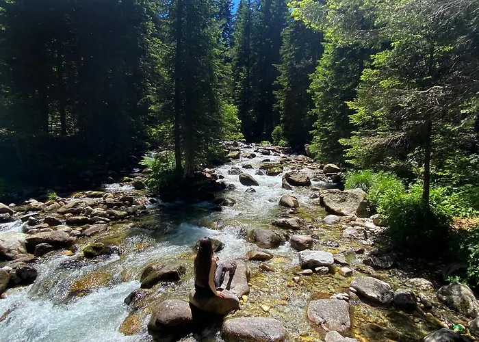 Ξενοδοχείο Park Panorama Μπάνσκο